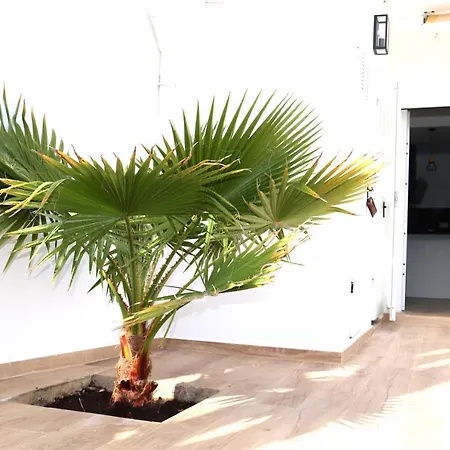 Karibu & Pool 马尔韦利亚