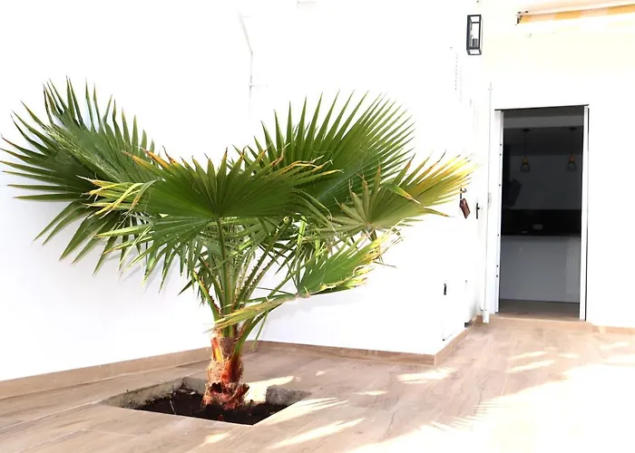 Karibu & Pool Марбелья