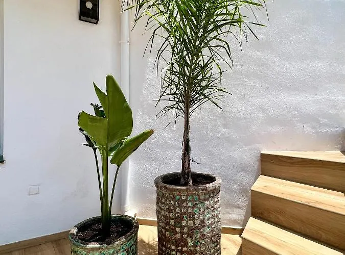 Vakantiehuis Karibu & Pool Marbella