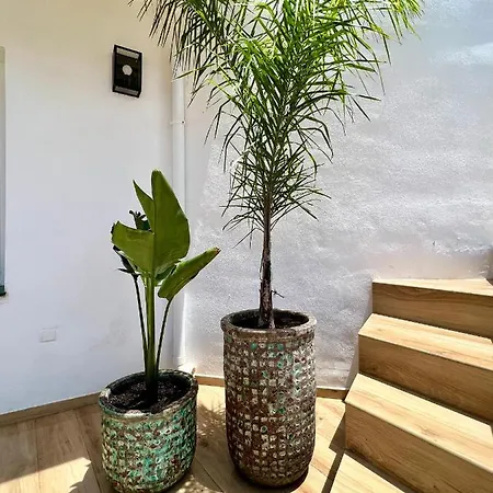 בית נופש Karibu & Pool מארבלה